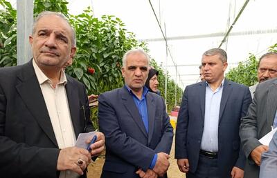 خشکسالی در چهارمحال و بختیاری مشکل اصلی است