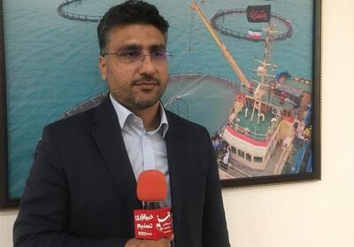 تولید 2000 تن ماهی پرورشی در استان بوشهر - تسنیم
