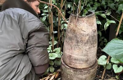 کشف گنج نفیس در باغچه خانه مادربزرگ