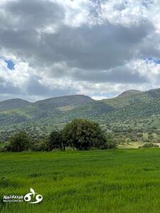 تصاویری از طبیعت زیبای منطقه کفراور در گیلان‌غربِ کرمانشاه