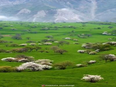 جایی که طبیعت با تو حرف می‌زند