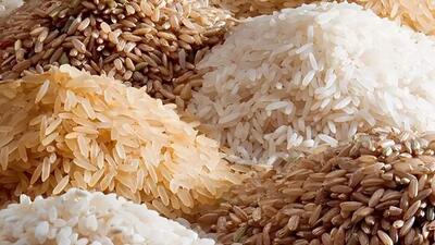 دپوی ۲۰۰ هزار تن برنج خارجی در گمرک