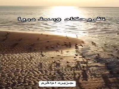 شگفتی های جذاب جزیره گرم یا ام‌ الکرم