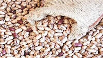 افزایش قیمت لوبیا چیتی چالش جدید بازار حبوبات قم