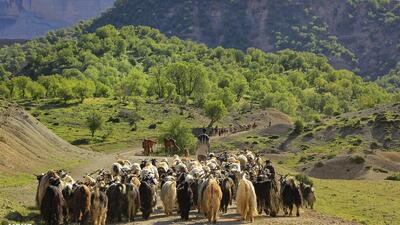 ساماندهی کوچ بهاره سال ۱۴۰۴ در استان سمنان