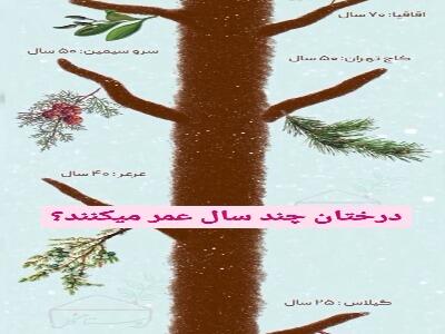 تا به حال اسم درخت اُرس را شنیده‌اید؟