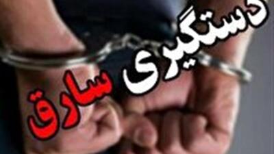 دستگیری سارق اماکن خصوصی در ساوه