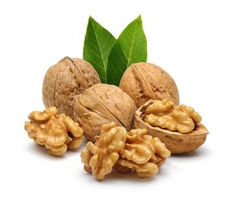 خاصیتی از گردو که اگر بدانید هر روز آن را می خورید