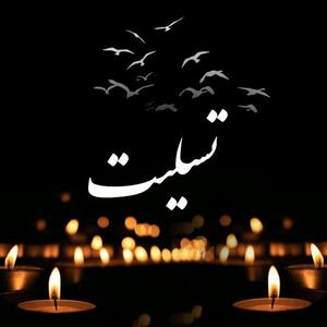 نایب رییس کمیته ملی المپیک  ورزشی عزادار شد