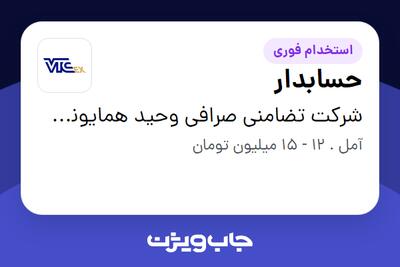 استخدام حسابدار در شرکت تضامنی صرافی وحید همایونی و مجتبی موسوی (صرافی VTC)