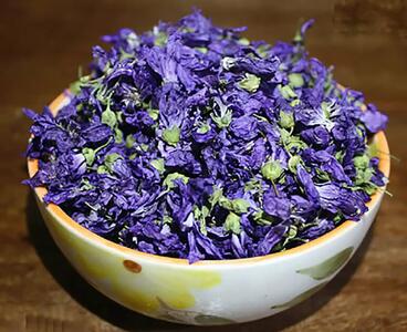 گلی با خواص شفابخشی