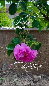 فال حافظ 5 اردیبهشت + فیلم