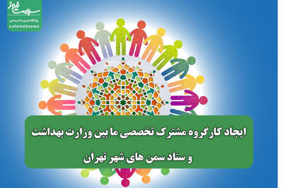 ایجاد کارگروه مشترک تخصصی ما بین وزارت بهداشت و ستاد سمن های شهر تهران