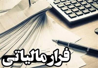 کشف فرار مالیاتی 275 میلیارد تومانی در کردستان- فیلم فیلم استان تسنیم | Tasnim
