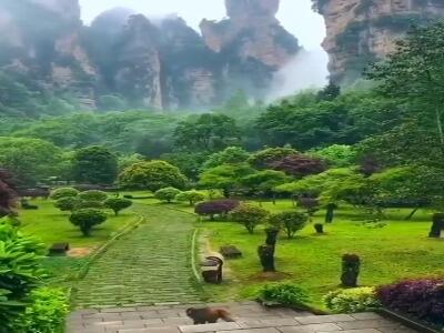 پارک جنگلی ملی در شهر ژانگجیاجی، چین