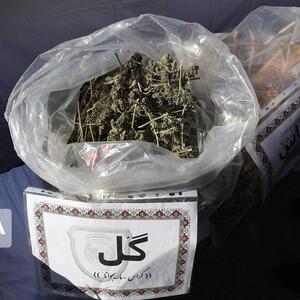 پدر و پسر گُل‌فروش در دام پلیس افتادند