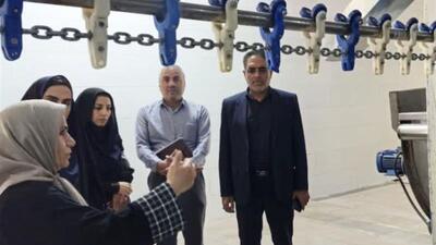 احیای کشتارگاه مرغ صحنه با تزریق ۲ هزار میلیارد ریال تسهیلات