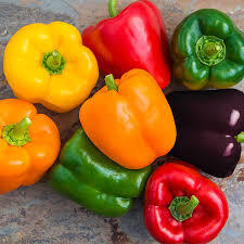 دلمه یه غذای خوشمزه و مجلسی با طعمی عالی