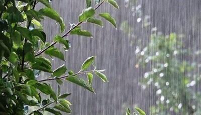 کاهش 15 درجه‌ای دما در گیلان