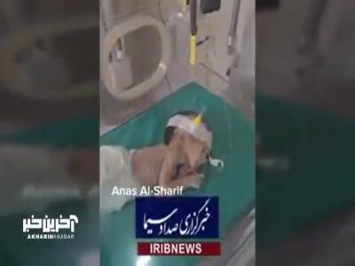 اینجا کتاب‌ها هم از گرسنگی می‌میرند!