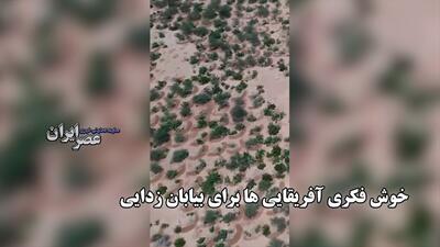 خوش فکری آفریقایی ها برای بیابان زدایی