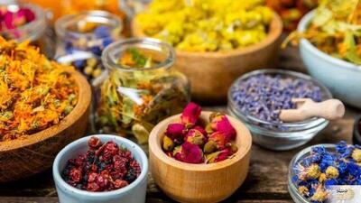 مصرف خودسرانه داروهای گیاهی ممنوع