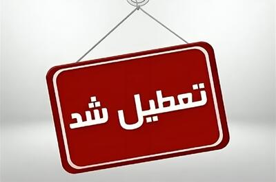 تعطیلی کامل مقاطع تحصیلی در بندرعباس برای فردا (فیلم)