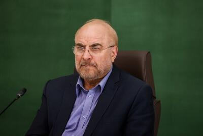 اعزام هیئتی از نمایندگان ۴ کمیسیون مجلس برای بررسی کارشناسی به بندر شهید رجایی
