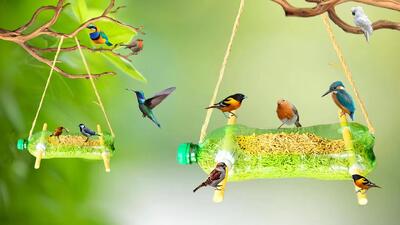 آموزش ساخت دانخوری پرنده با بطری پلاستیکی!