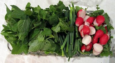 چگونه سبزی خوردن به مدت یک هفته نگهداری کنیم؟