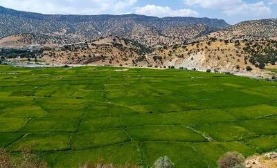 موقوفه مرشدی، اراضی ملی و منتسب به سازمان منابع طبیعی کشور است