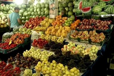 عرضه نوبرانه گوجه سبز در تمامی بازارهای میوه و تره‌بار