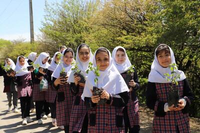 نهالستان کودک در منطقه جنگلی فندقلو نمین ایجاد شد