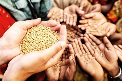نقش ۱۰ درضدی فارس در تأمین امنیت غذایی کشور
