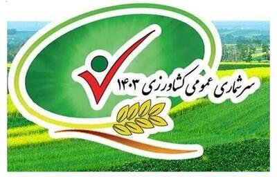 رشد چشمگیر بهره‌برداران و توسعه گلخانه‌ای استان کرمان در سرشماری کشاورزی ۱۴۰۳