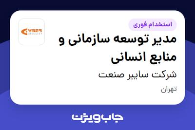 استخدام مدیر توسعه سازمانی و منابع انسانی در شرکت سایبر صنعت