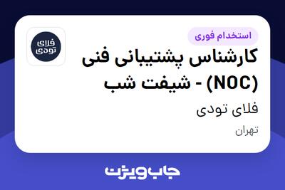 استخدام کارشناس پشتیبانی فنی (NOC) - شیفت شب در فلای تودی