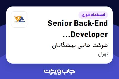 استخدام Senior Back-End Developer (Python/Django) در شرکت حامی پیشگامان