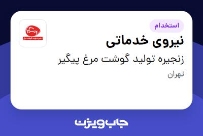استخدام نیروی خدماتی در زنجیره تولید گوشت مرغ پیگیر