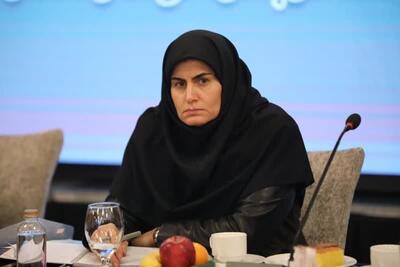 دولت بودجه کافی برای توسعه حمل و نقل ندارد