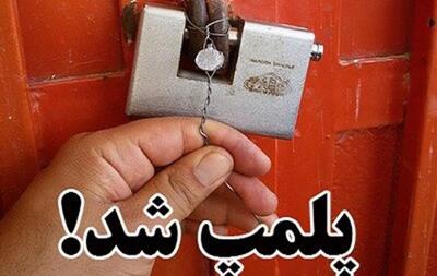 ۱۳ واحد صنفی متخلف در بهارستان پلمب شد