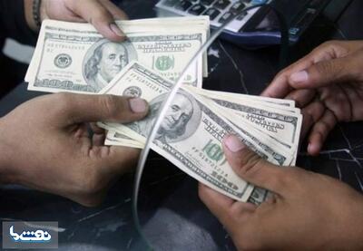 استارت بازار ارز با کاهش قیمت‌هادلار ۷۹ هزار تومان شد | نفت ما