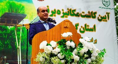 کشت برنج در گیلان با حضور استاندار آغاز شد