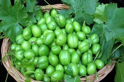 قیمت نوبرانه‌های بهار در میادین میوه و تره بار