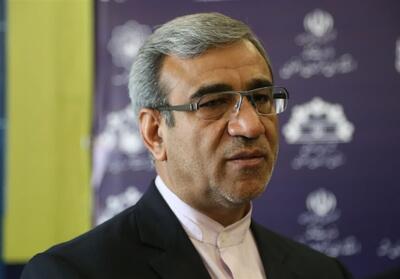 شوراها باید جایگاه واقعی خود را تبیین کنند - تسنیم