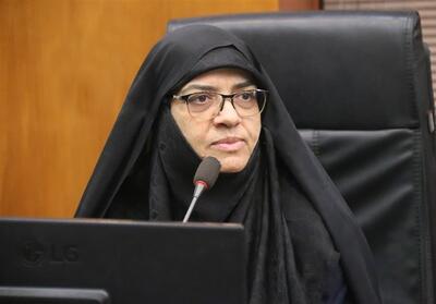 واکنش شورای شهر به حرمت‌شکنی فستیوال کوچه بوشهر - تسنیم
