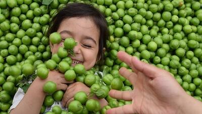 چه افرادی نباید گوجه سبز بخورند؟