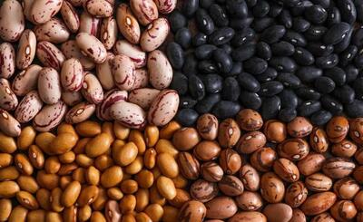 شیب صعودی قیمت حبوبات و انکار مسئولان!