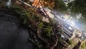 افزایش تعداد مصدومان در پی طوفان تهران؛ یک نفر فوت کرد