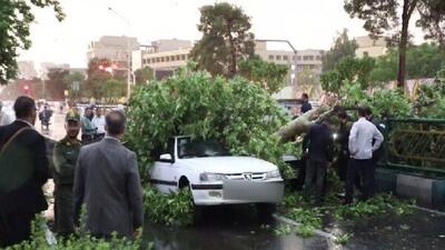 طوفان استان تهران ۶ مصدوم داشت